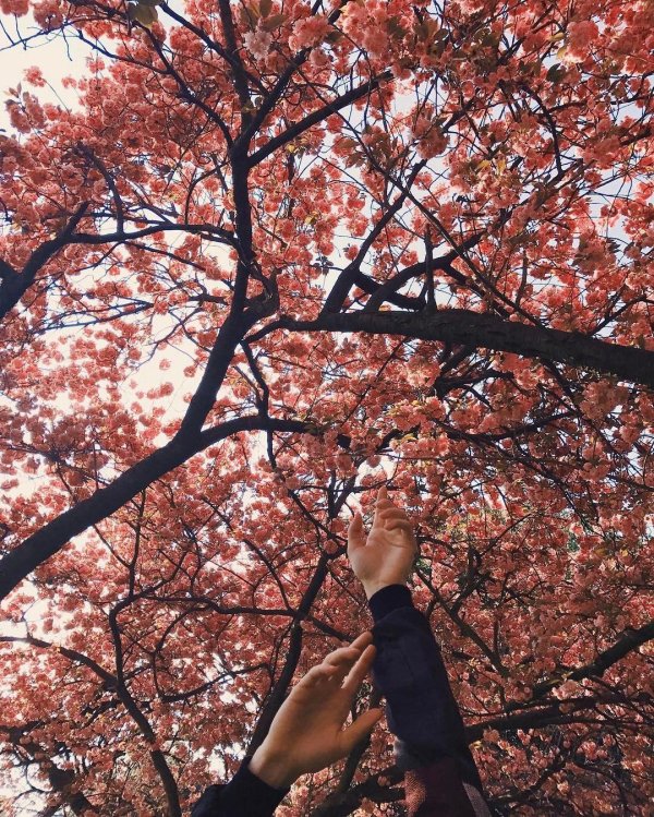 осенняя эстетика