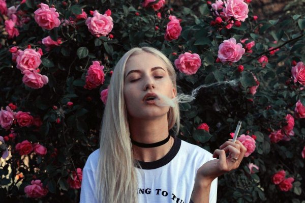 топовые сохры