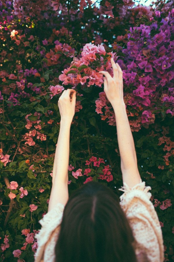 девушка с розой в руках