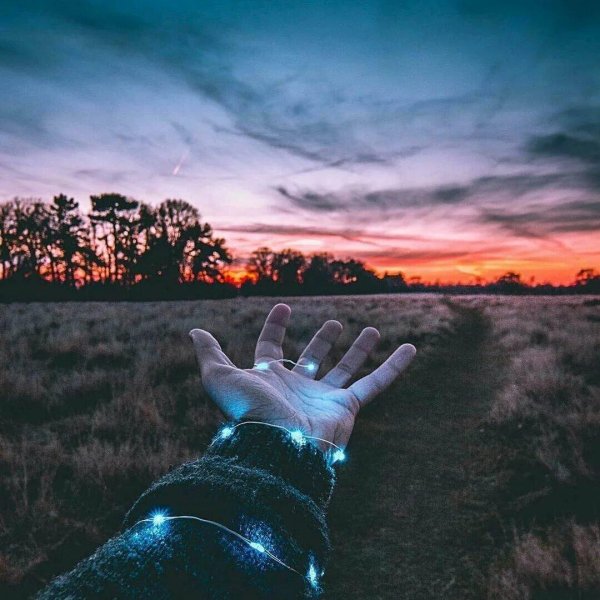 красивые сохры