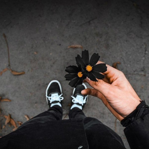 дерзкие цветы