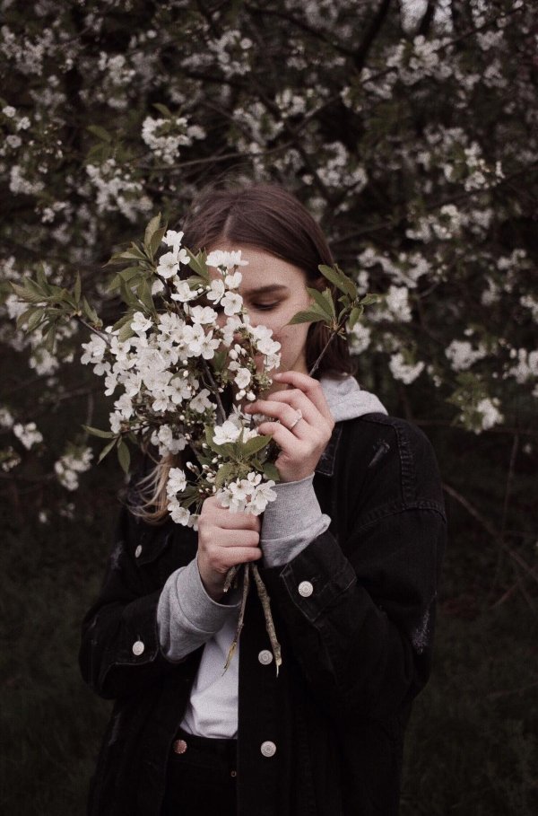 греза алена швец