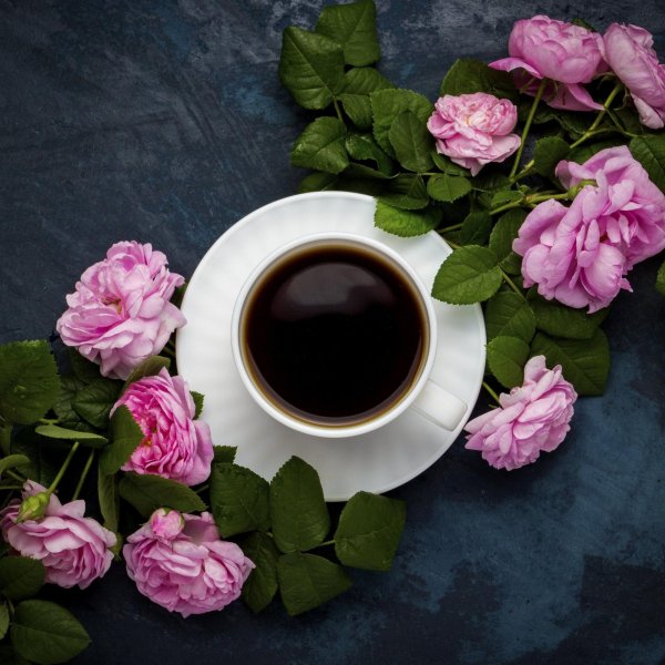 кофе розы