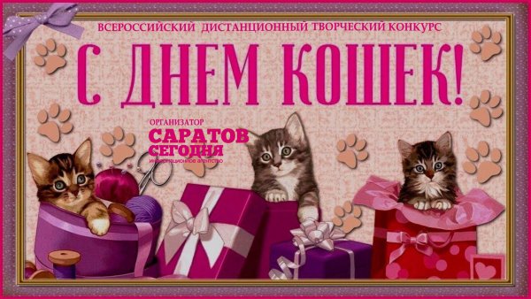с днем кошек