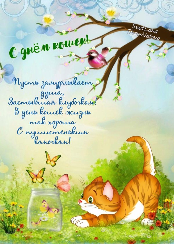 с днем кошек