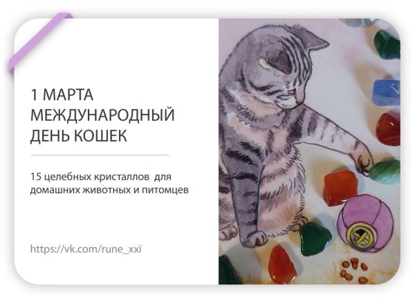 день кошек 1 марта