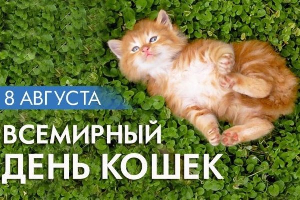 международный день кошек 8 августа