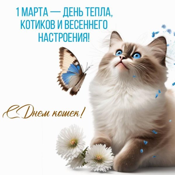 поздравление с днем кошек