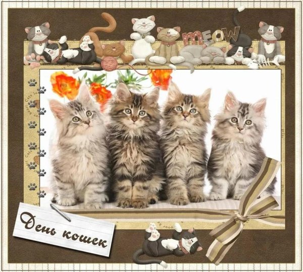 с днем кошек