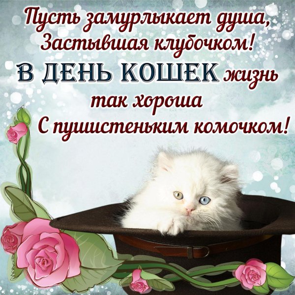поздравление с днем кошек