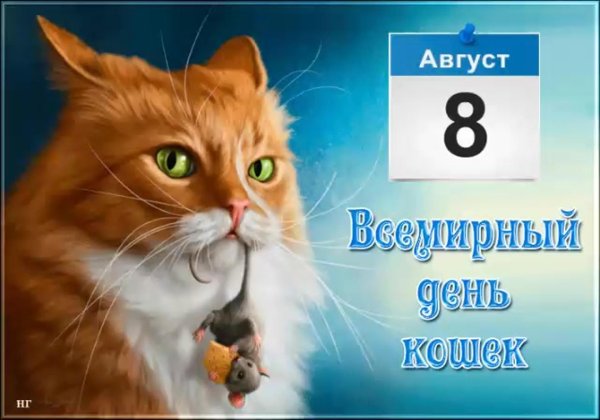 день кошек 8 августа