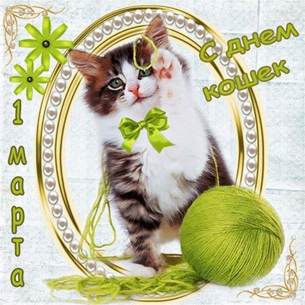 котенок с клубком