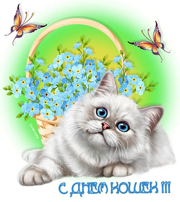 открытка с днем кошек