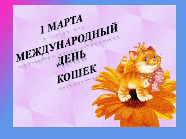 день кошек 1 марта