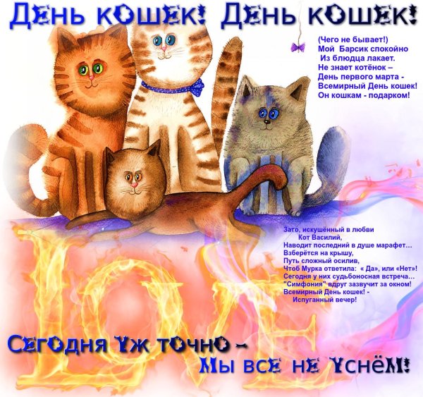 поздравление с днем кошек