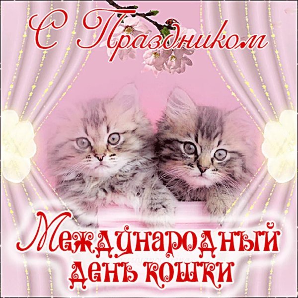 с днем кошек