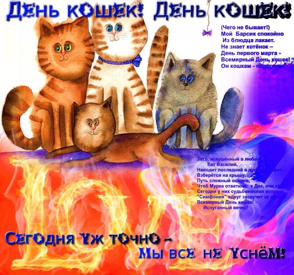всемирный день кошек