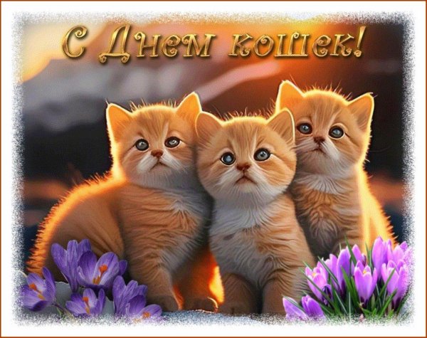с днем кошек