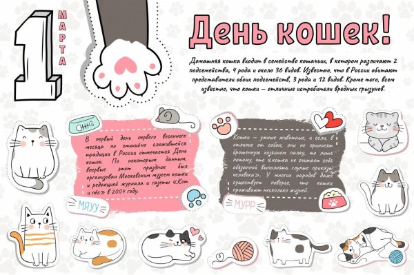 международный день кошек