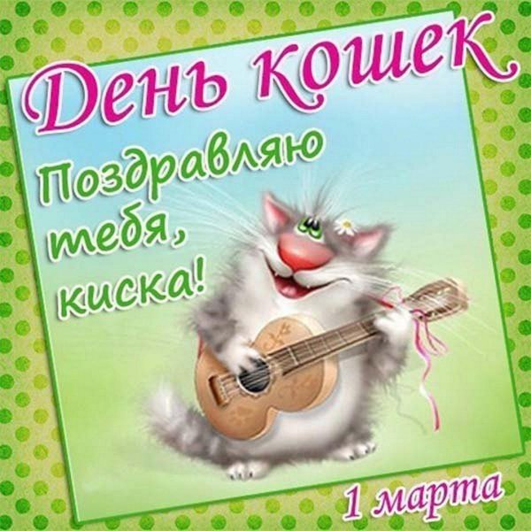 с днем кошек