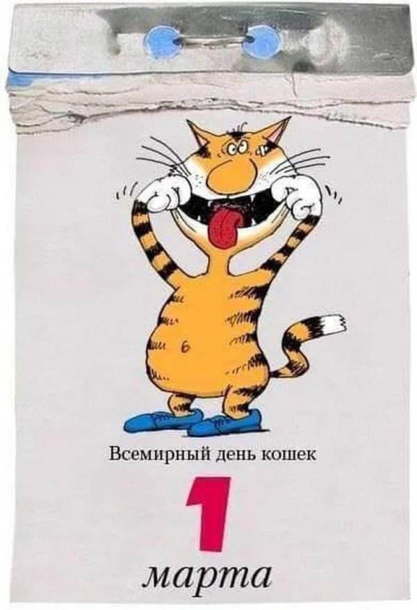 открытка прикольная