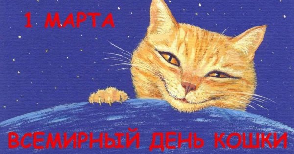 1 марта день кота