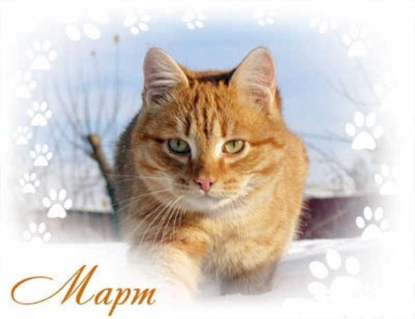 1 марта первый день весны