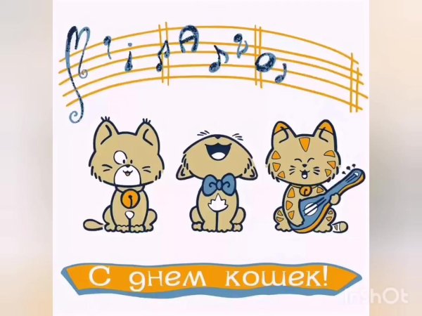 с днем кошек