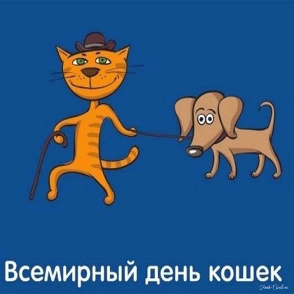 всемирный день кошек