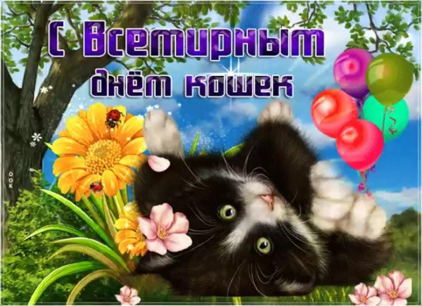 всемирный день кошек открытка