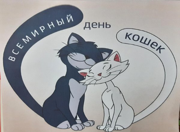 международный день кош