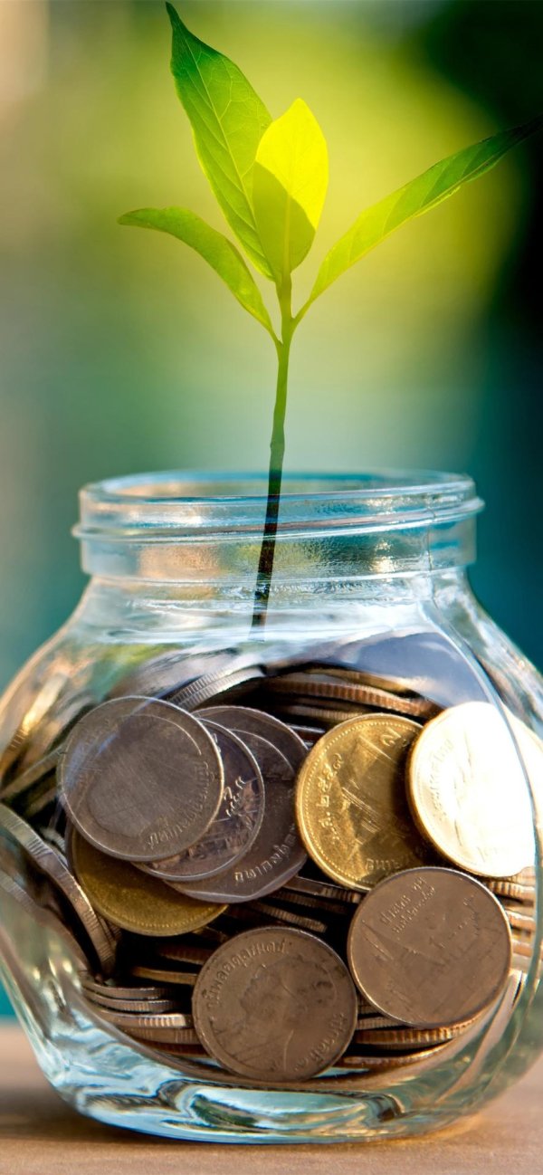 финансовая грамотность