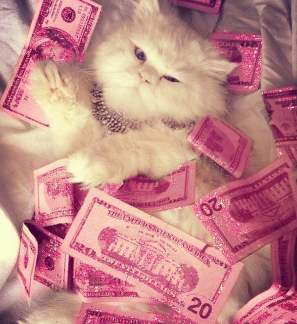 денежный кот
