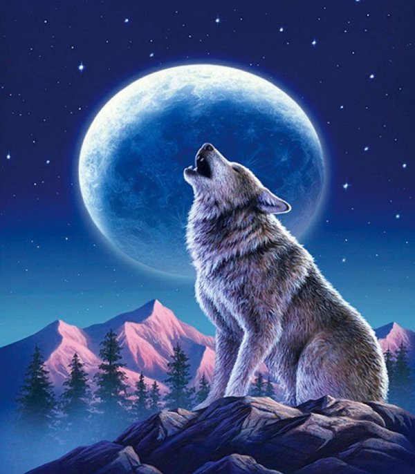 воющий волк