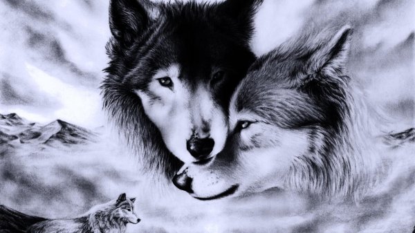 влюбленные волки