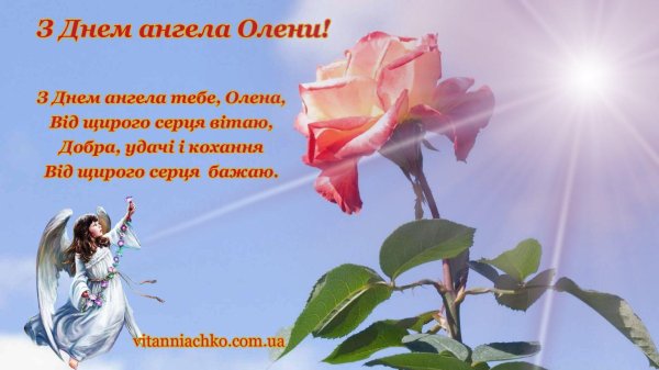з днем ангела олена картинки на українській мові