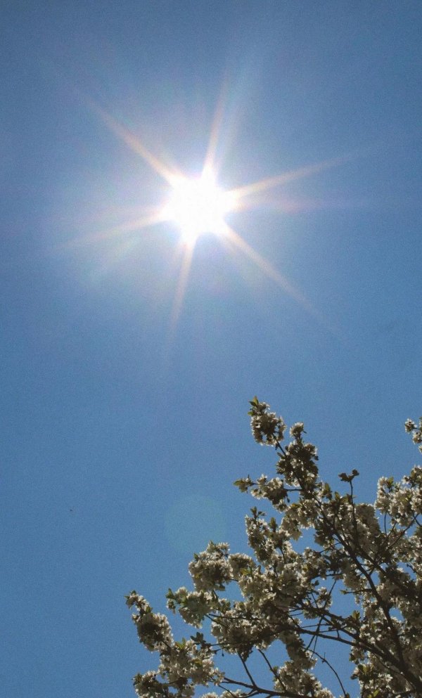 солнечная весна