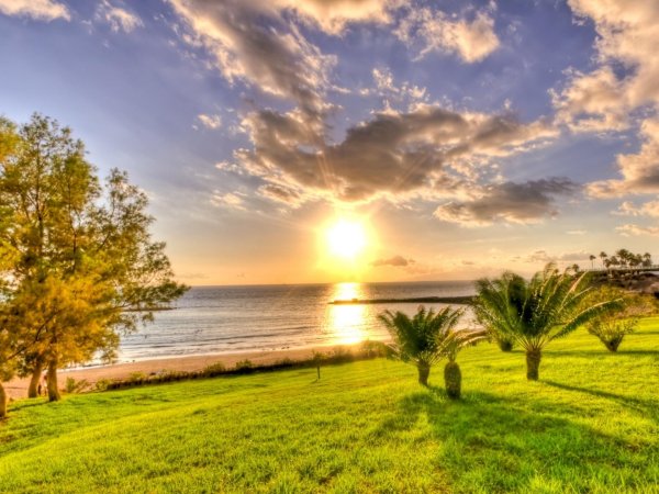 солнечные пейзажи