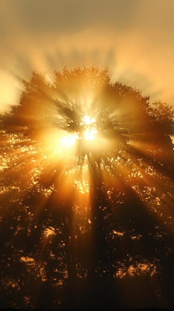 солнца свет