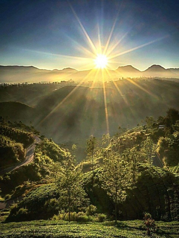 красивые рассветы