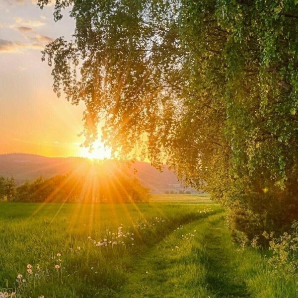 солнечные пейзажи