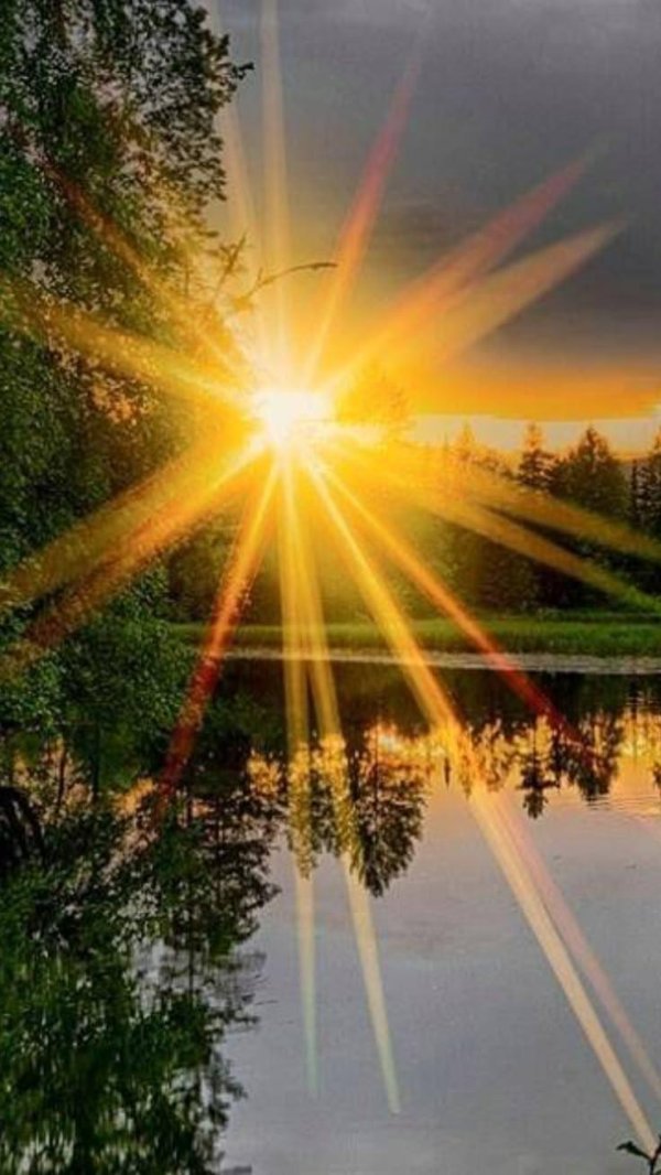 солнечные лучи
