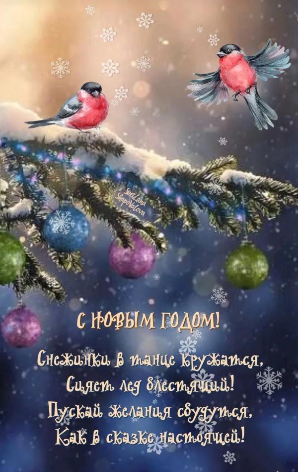 новогодние открытки со снегирями