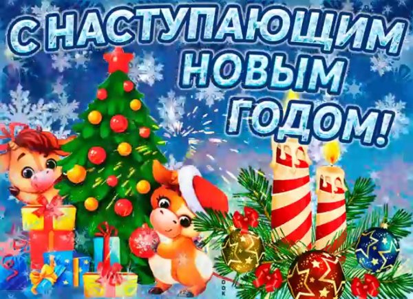 с новым годом