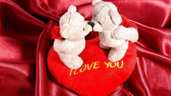 влюбленные мишки