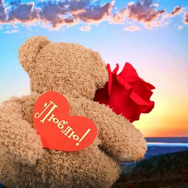 плюшевая мишка