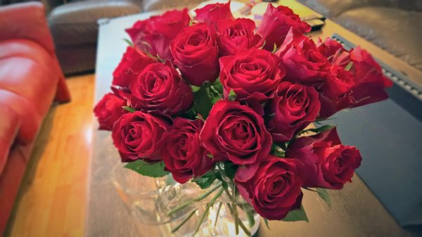 букет роз дома