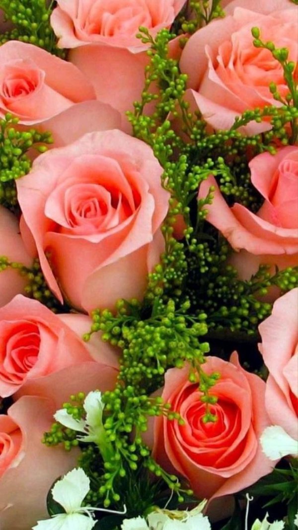 шикарные цветы