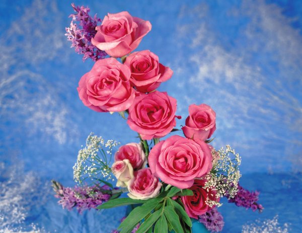 цветок на открытку