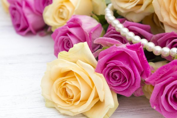 розы светлые